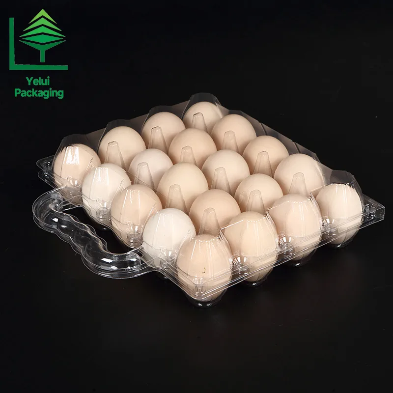 M20H 20 Eggs Tray with Handle (Medium), clear PET egg packaging tray – photo 005