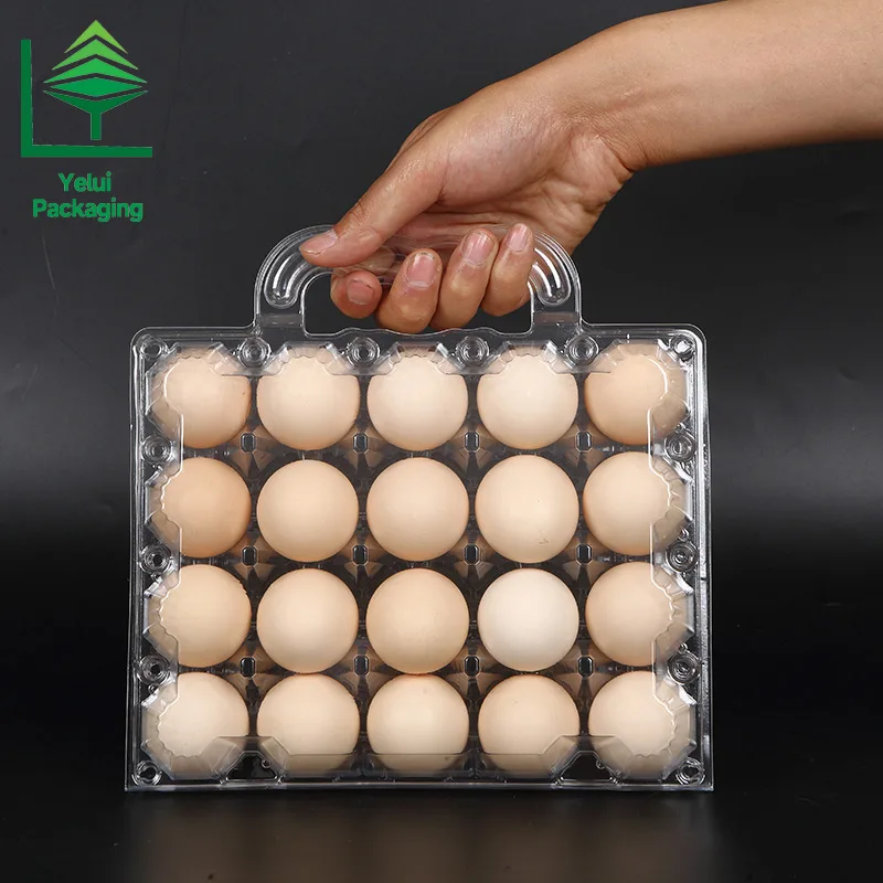 M20H 20 Eggs Tray with Handle (Medium), clear PET egg packaging tray – photo 006