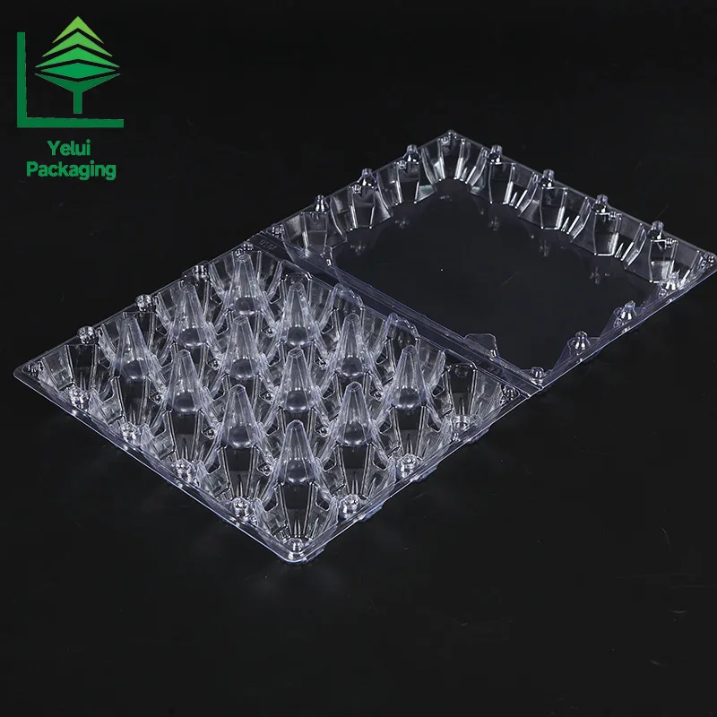 M20 20 Eggs Tray (Large), clear PET egg packaging tray – photo 001