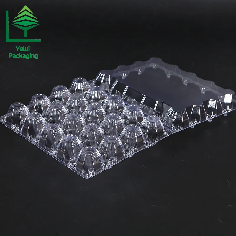 M20 20 Eggs Tray (Large), clear PET egg packaging tray – photo 002