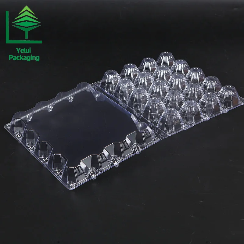 M20 20 Eggs Tray (Large), clear PET egg packaging tray – photo 003