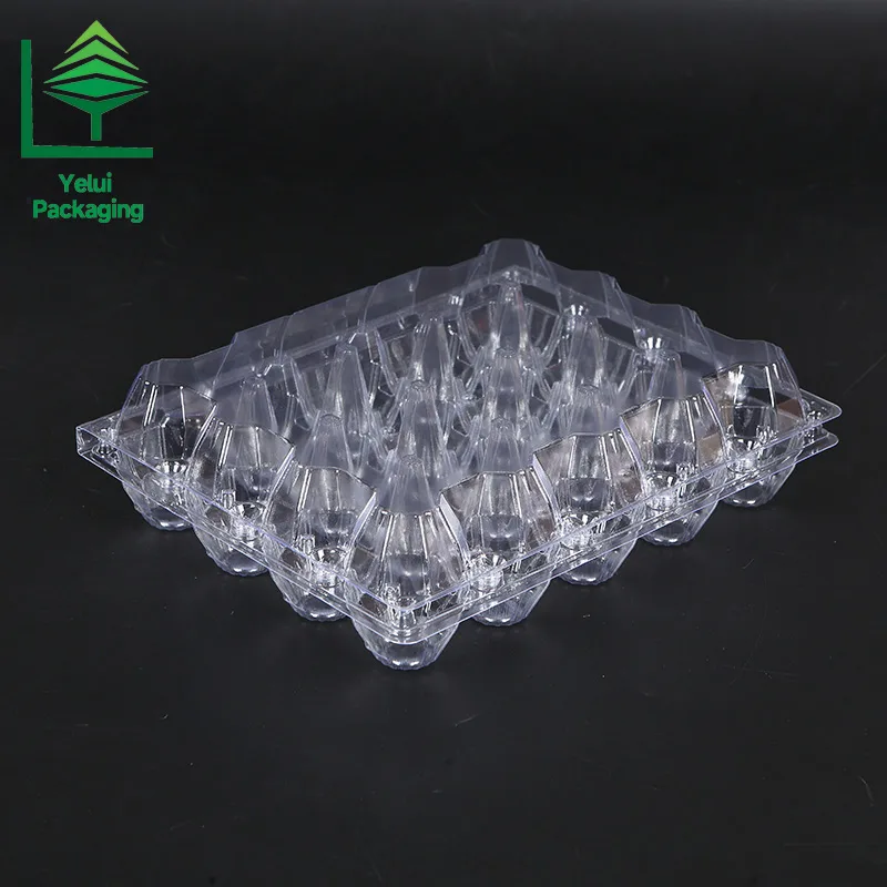 M20 20 Eggs Tray (Large), clear PET egg packaging tray – photo 005