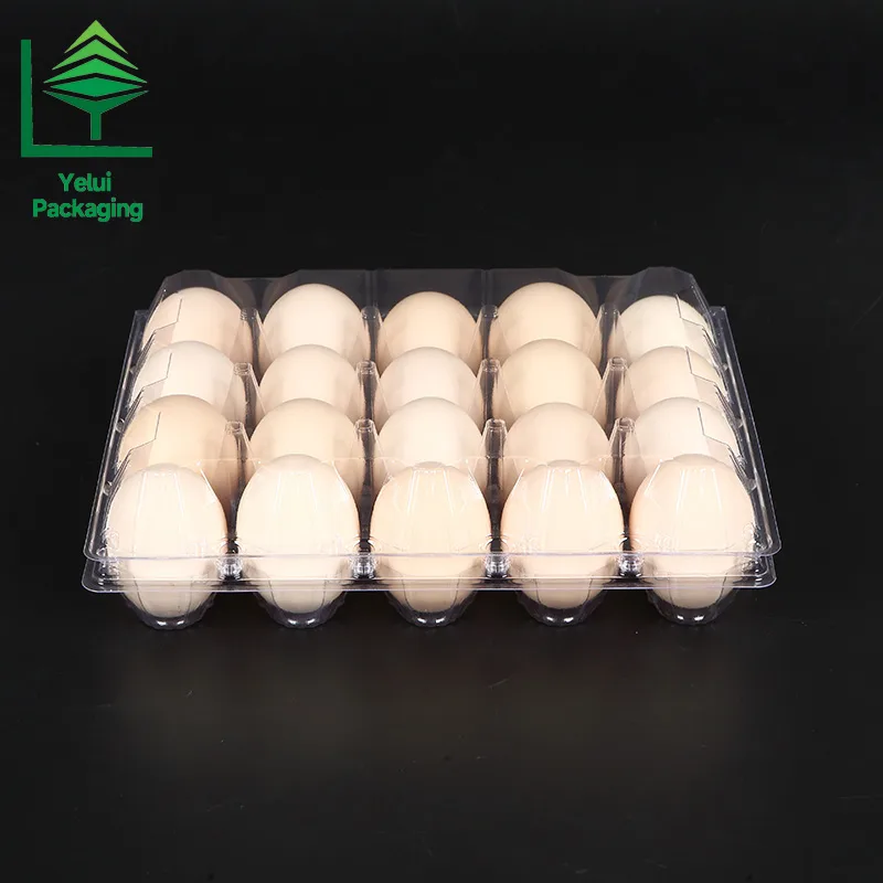 M20 20 Eggs Tray (Large), clear PET egg packaging tray – photo 006