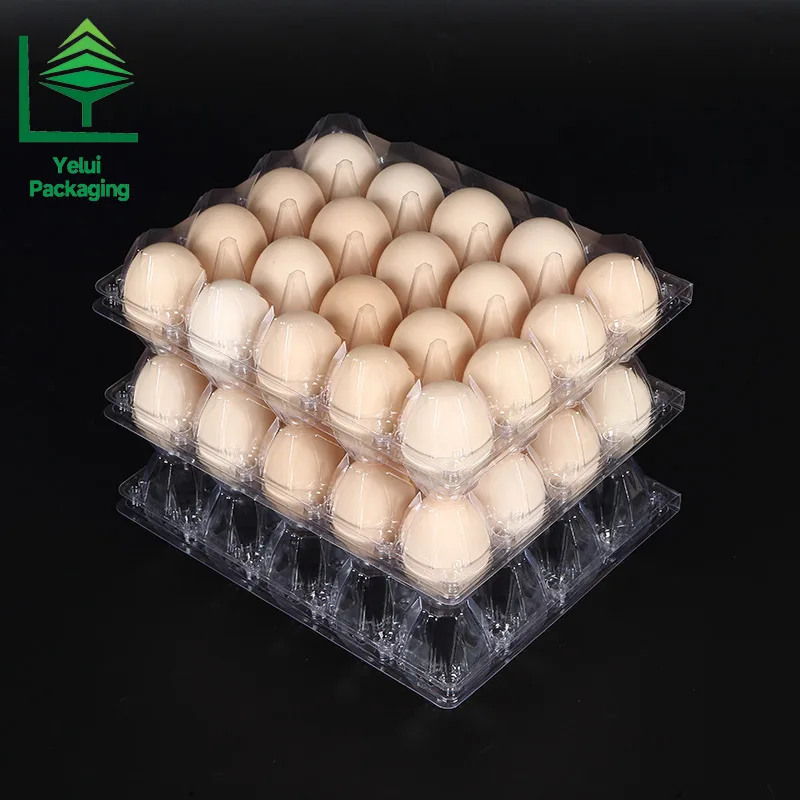 M20 20 Eggs Tray (Large), clear PET egg packaging tray – photo 007