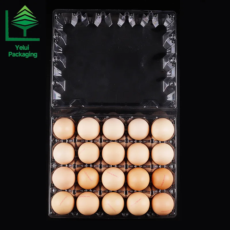 M20 20 Eggs Tray (Large), clear PET egg packaging tray – photo 008