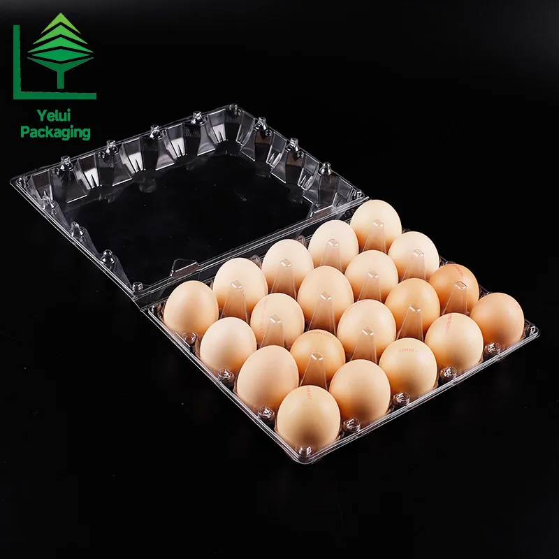 M20 20 Eggs Tray (Large), clear PET egg packaging tray – photo 009