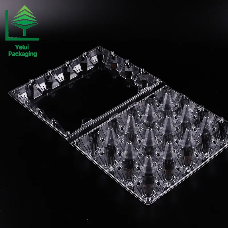 M20 20 Eggs Tray (Large), clear PET egg packaging tray – photo 010