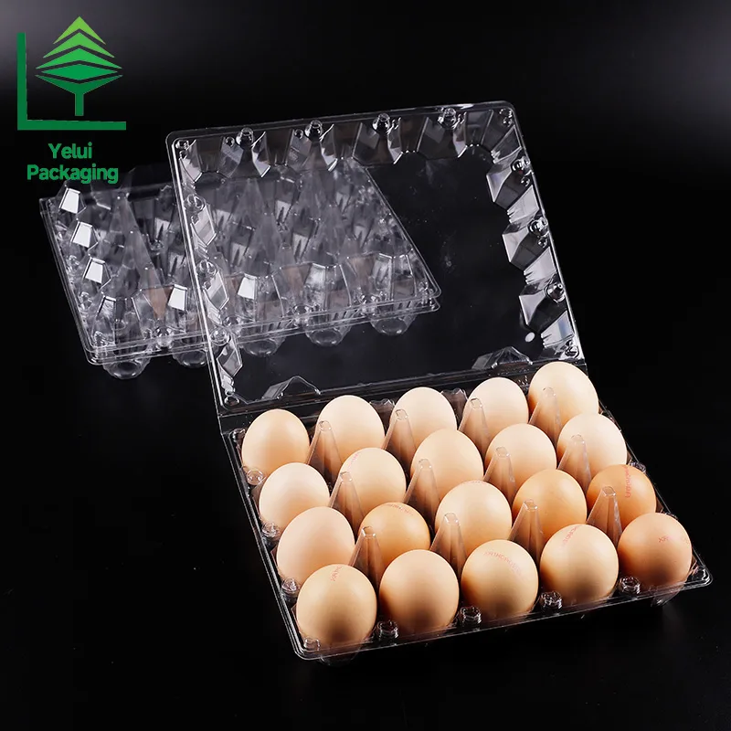 M20 20 Eggs Tray (Large), clear PET egg packaging tray – photo 011
