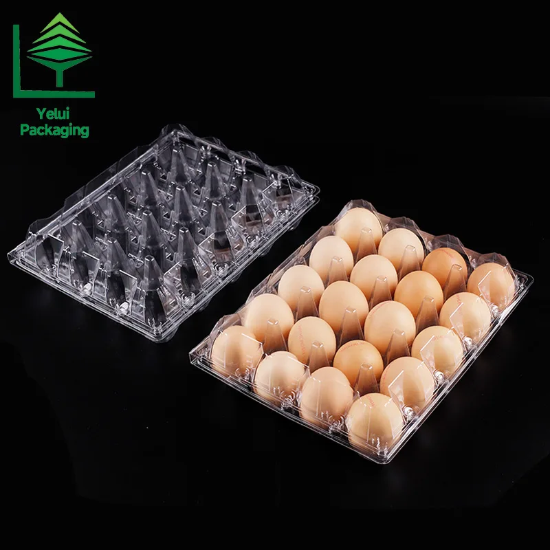M20 20 Eggs Tray (Large), clear PET egg packaging tray – photo 012