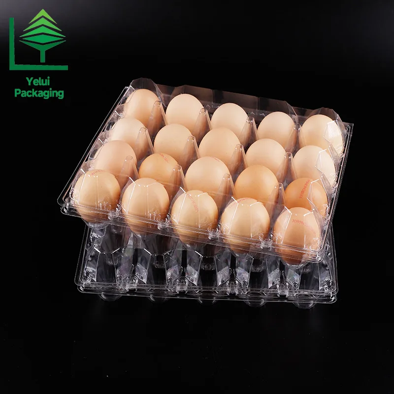 M20 20 Eggs Tray (Large), clear PET egg packaging tray – photo 013