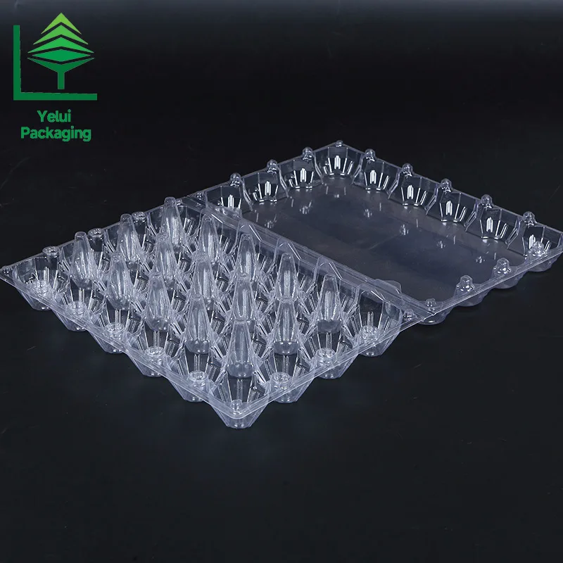 M24 24 Eggs Tray (Medium), clear PET egg packaging tray – photo 001