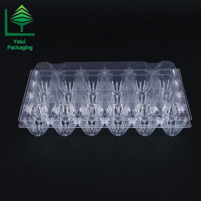 M24 24 Eggs Tray (Medium), clear PET egg packaging tray – photo 002