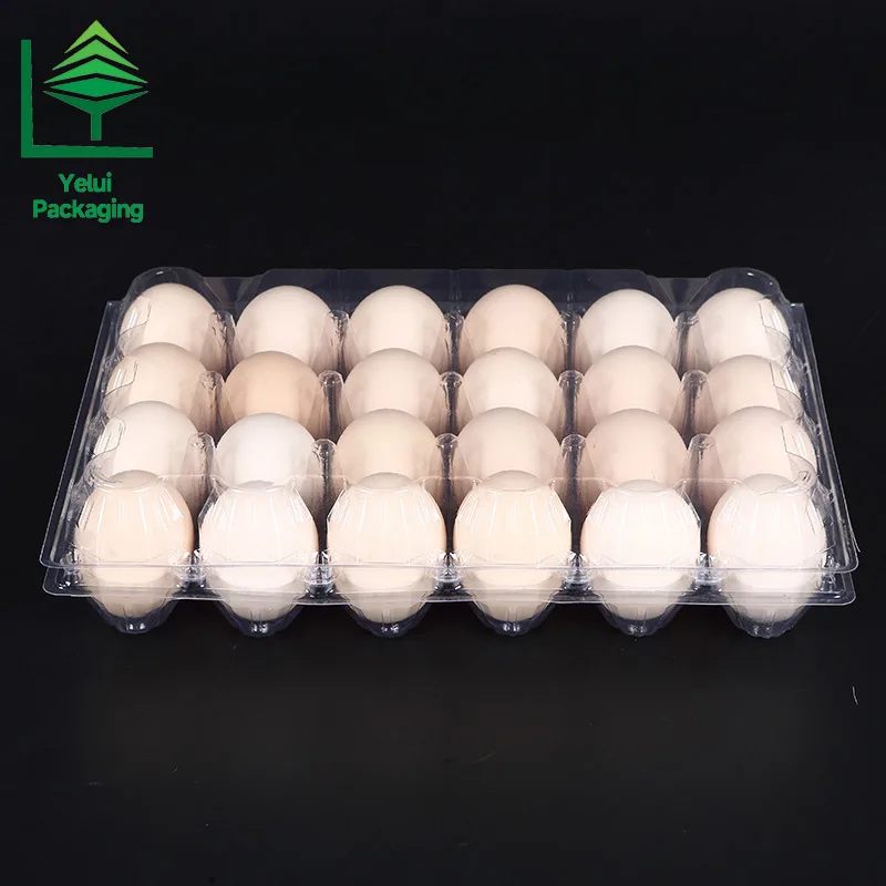 M24 24 Eggs Tray (Medium), clear PET egg packaging tray – photo 004