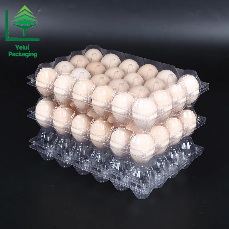 M24 24 Eggs Tray (Medium), clear PET egg packaging tray – photo 005