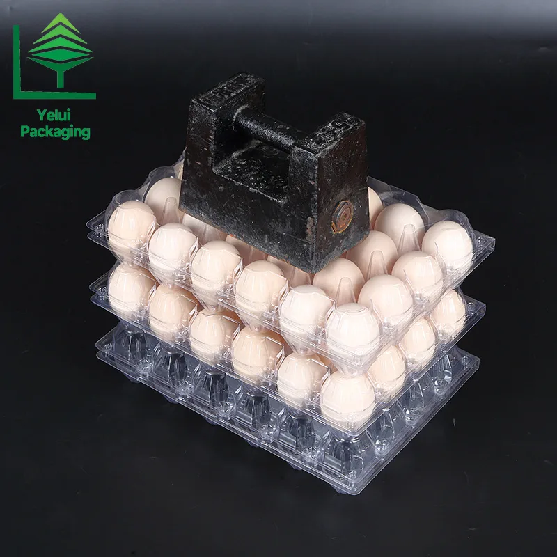 M24 24 Eggs Tray (Medium), clear PET egg packaging tray – photo 006