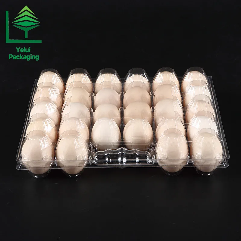 M28H 28 Eggs Tray with Handle (Large), clear PET egg packaging tray – photo 006