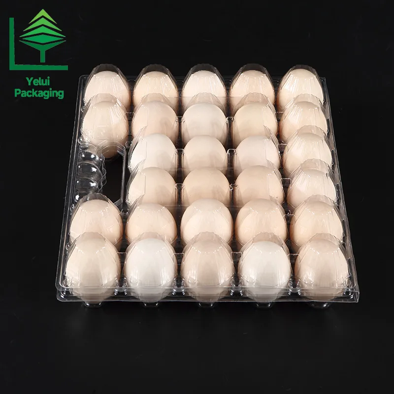 M28H 28 Eggs Tray with Handle (Large), clear PET egg packaging tray – photo 007