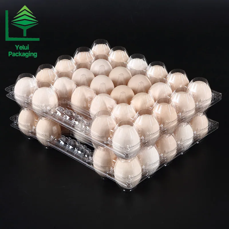 M28H 28 Eggs Tray with Handle (Large), clear PET egg packaging tray – photo 008