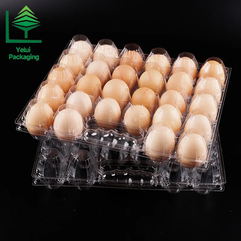 M28H 28 Eggs Tray with Handle (Large), clear PET egg packaging tray – photo 009