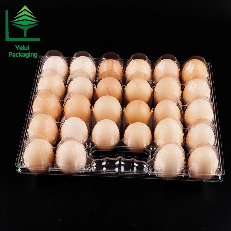 M28H 28 Eggs Tray with Handle (Large), clear PET egg packaging tray – photo 010