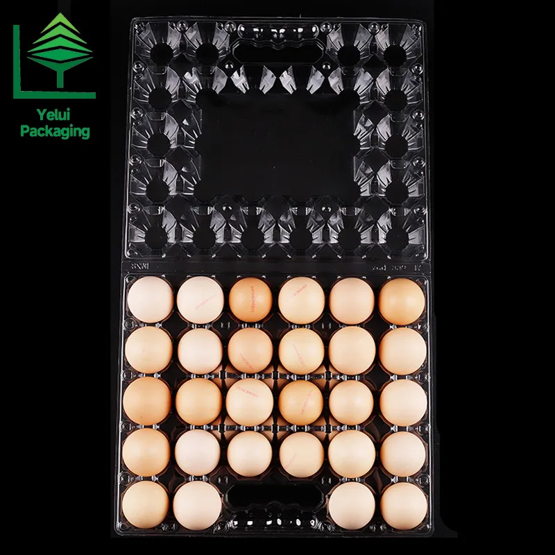 M28H 28 Eggs Tray with Handle (Large), clear PET egg packaging tray – photo 012