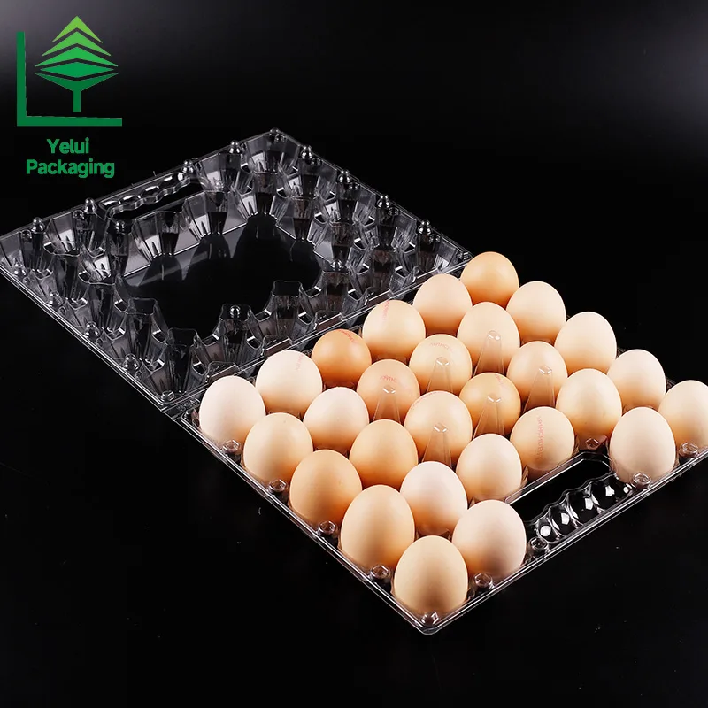 M28H 28 Eggs Tray with Handle (Large), clear PET egg packaging tray – photo 013