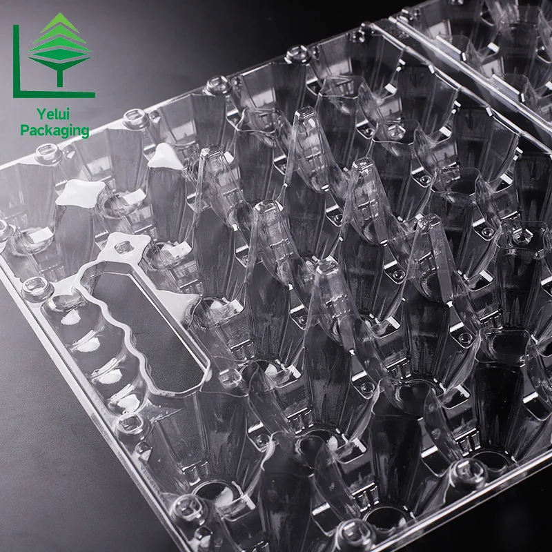 M28H 28 Eggs Tray with Handle (Large), clear PET egg packaging tray – photo 015