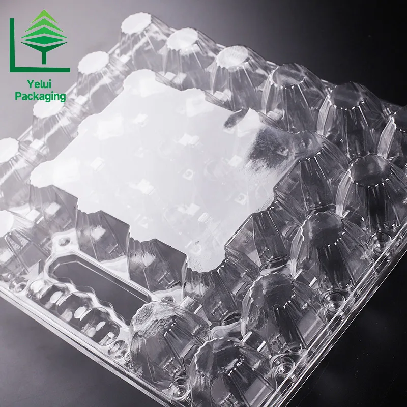 M28H 28 Eggs Tray with Handle (Large), clear PET egg packaging tray – photo 017