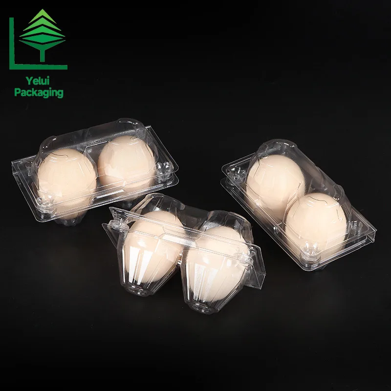 M2 2 Eggs Tray (Large), clear PET egg packaging tray – photo 005