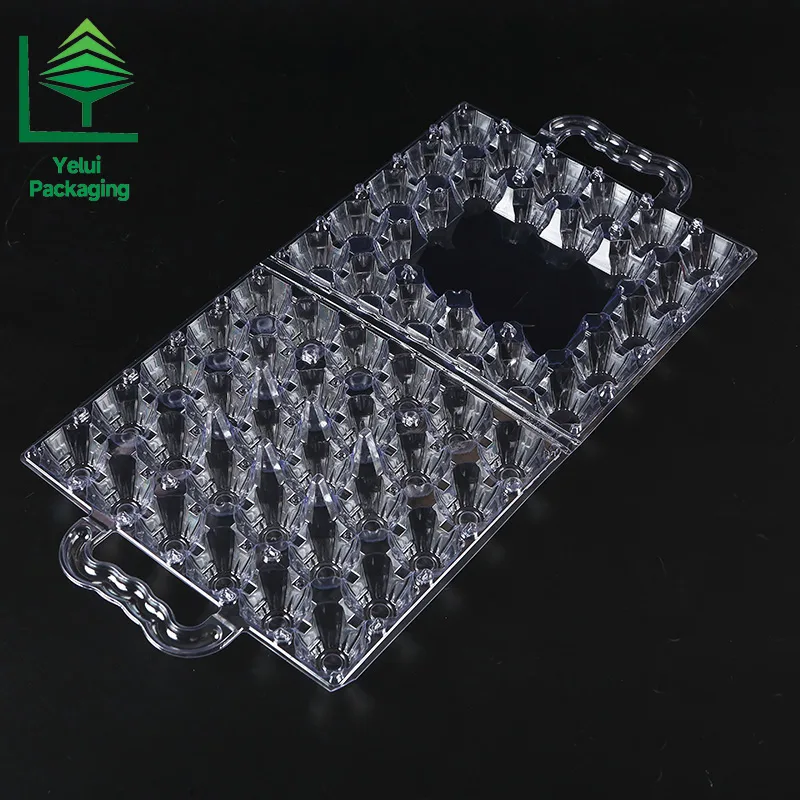 M30H 30 Eggs Tray with Handle (Large), clear PET egg packaging tray – photo 001