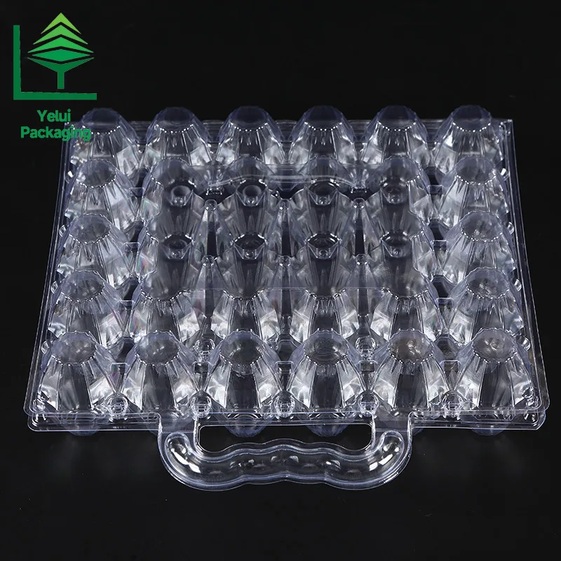 M30H 30 Eggs Tray with Handle (Large), clear PET egg packaging tray – photo 002