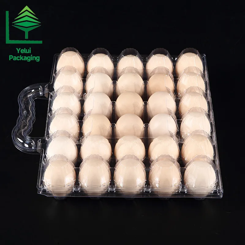 M30H 30 Eggs Tray with Handle (Large), clear PET egg packaging tray – photo 003