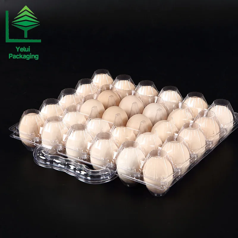 M30H 30 Eggs Tray with Handle (Large), clear PET egg packaging tray – photo 004