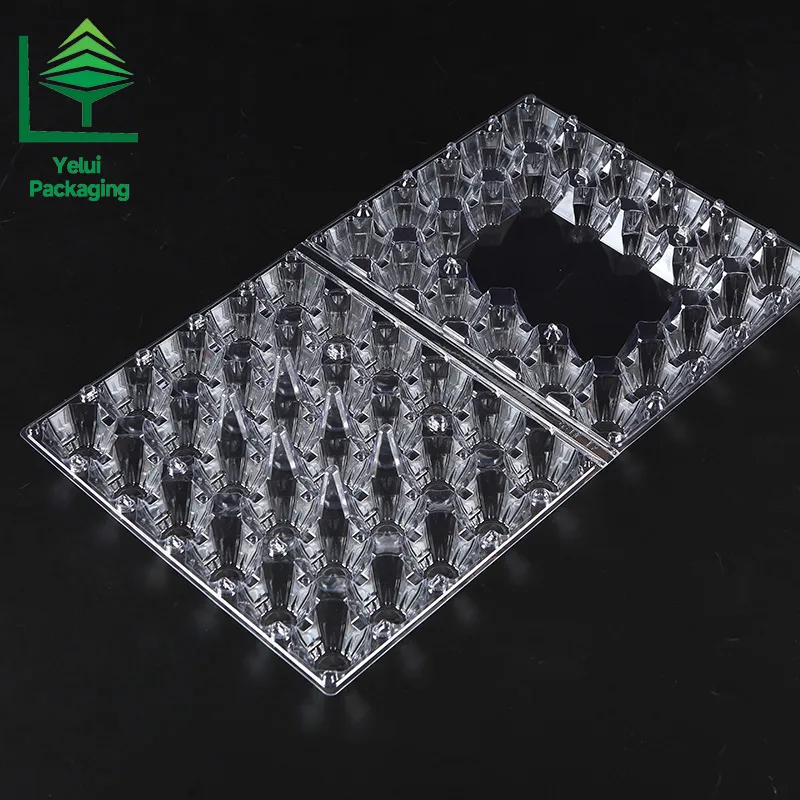 M30 30 Eggs Tray (Large), clear PET egg packaging tray – photo 001