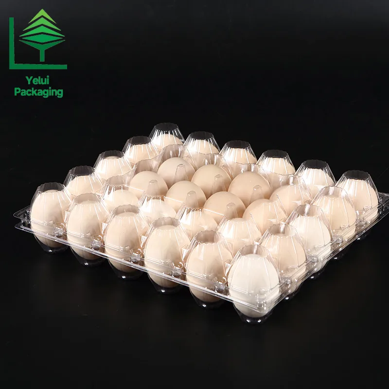 M30 30 Eggs Tray (Large), clear PET egg packaging tray – photo 003