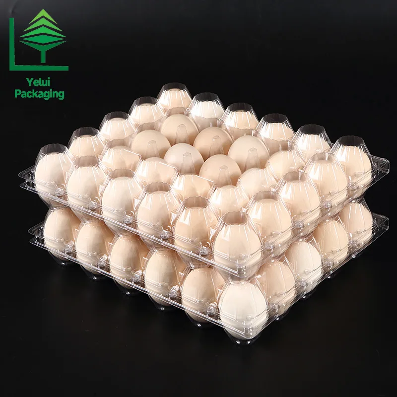 M30 30 Eggs Tray (Large), clear PET egg packaging tray – photo 004