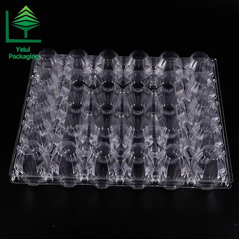 M30 30 Eggs Tray (Large), clear PET egg packaging tray – photo 005