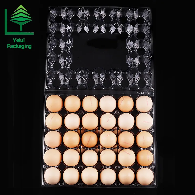 M30 30 Eggs Tray (Large), clear PET egg packaging tray – photo 006