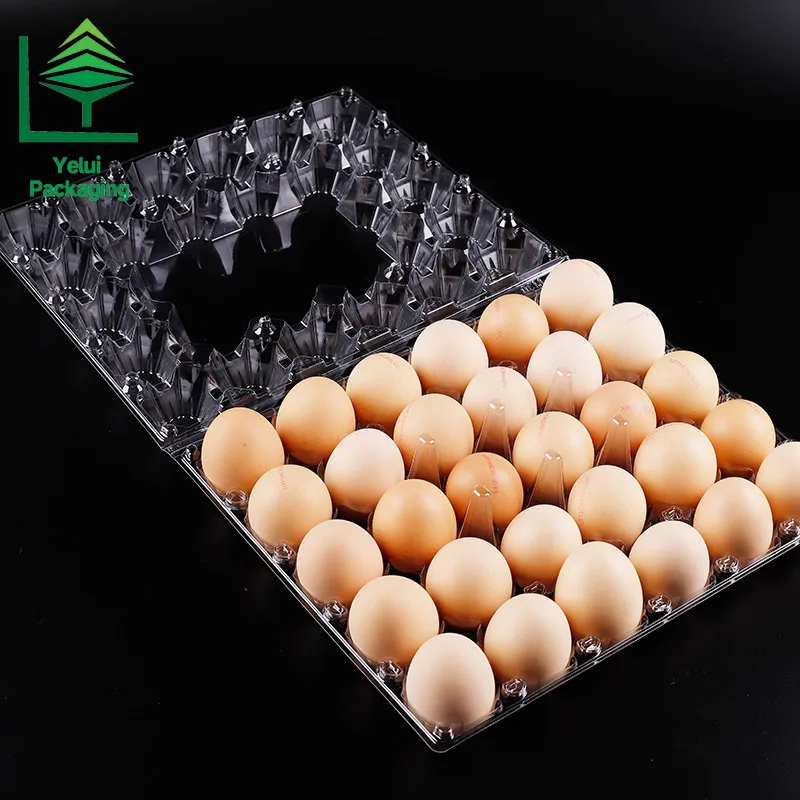 M30 30 Eggs Tray (Large), clear PET egg packaging tray – photo 007