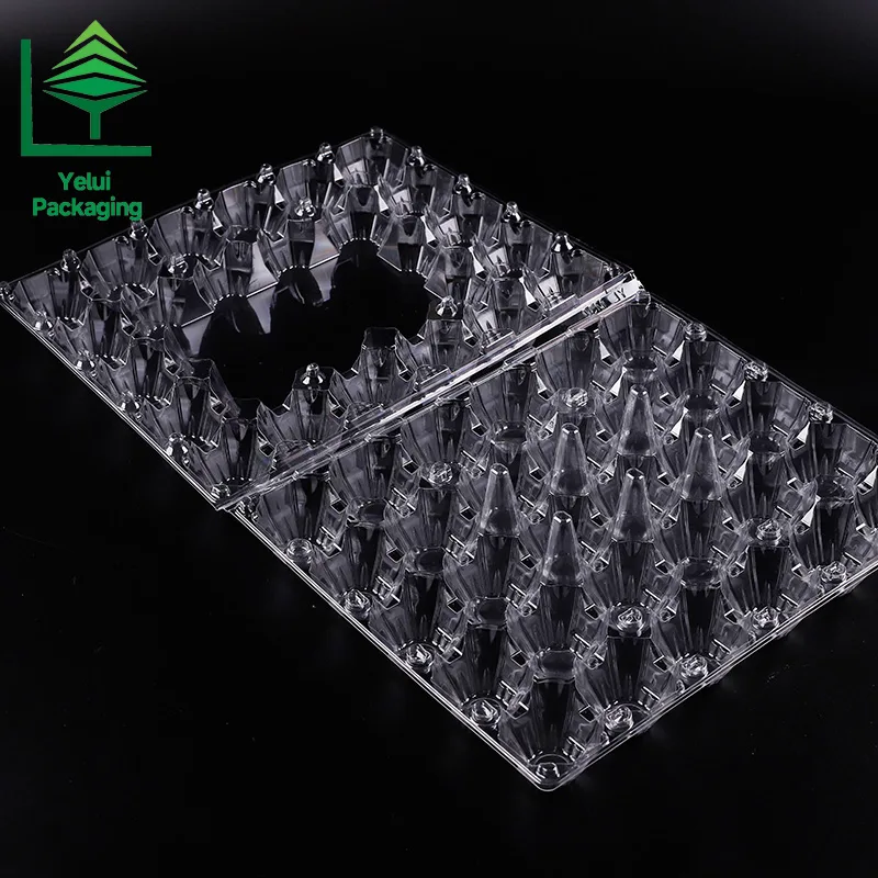 M30 30 Eggs Tray (Large), clear PET egg packaging tray – photo 008