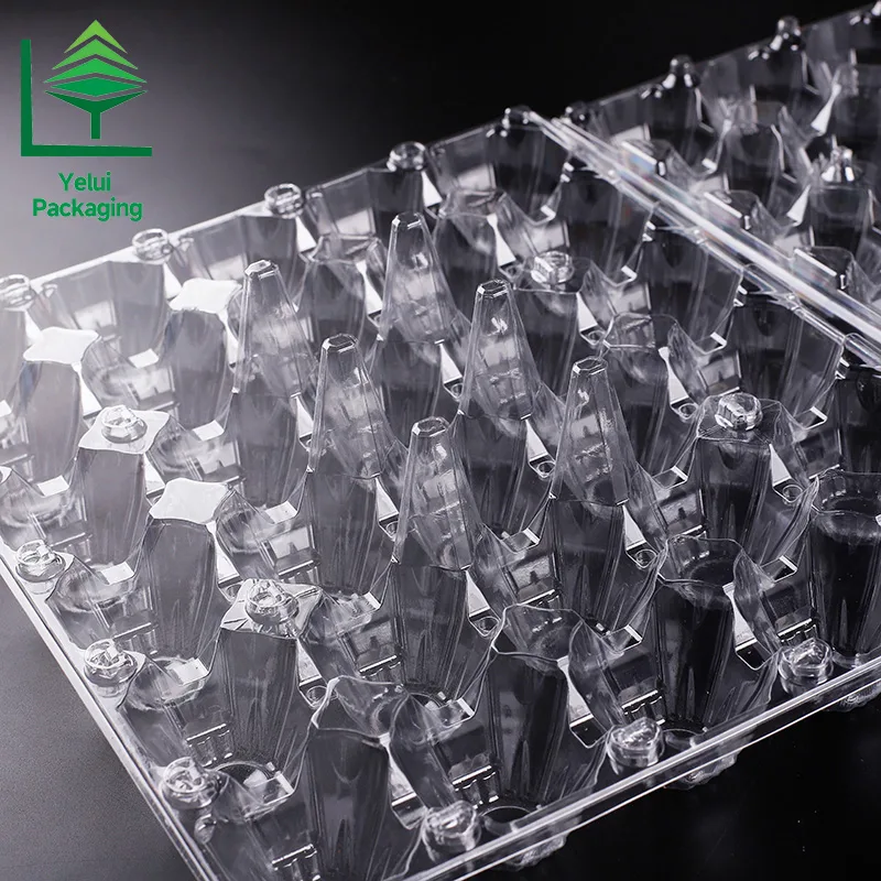 M30 30 Eggs Tray (Large), clear PET egg packaging tray – photo 009