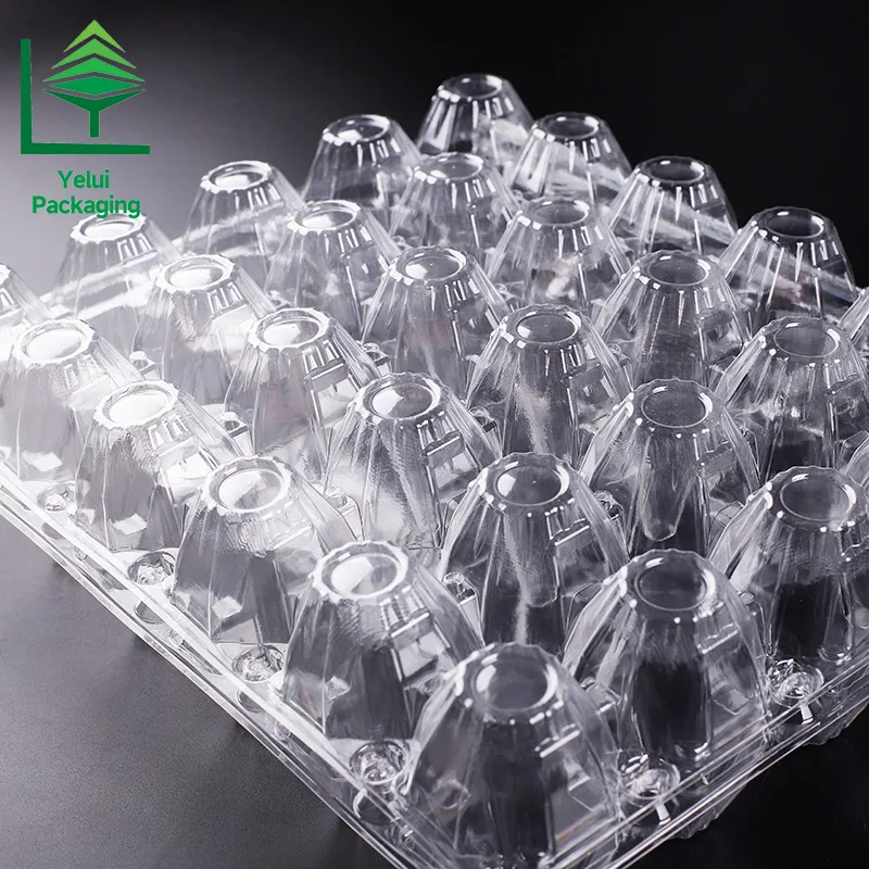 M30 30 Eggs Tray (Large), clear PET egg packaging tray – photo 010