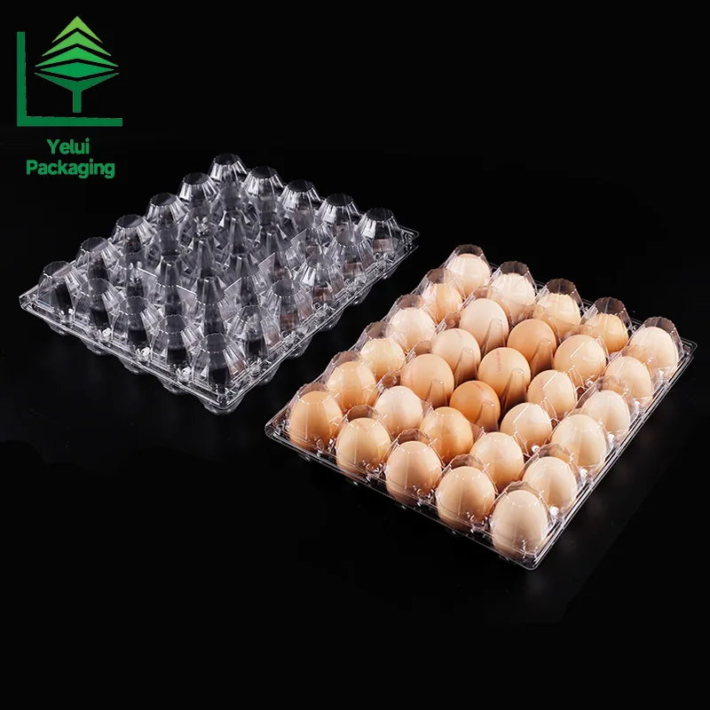 M30 30 Eggs Tray (Large), clear PET egg packaging tray – photo 012