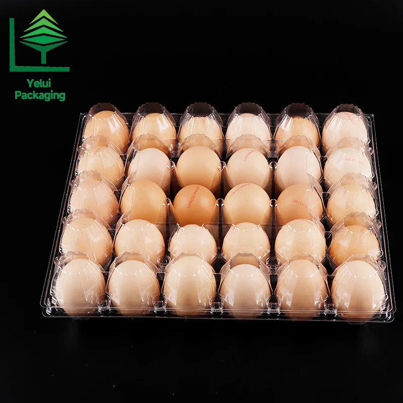 M30 30 Eggs Tray (Large), clear PET egg packaging tray – photo 013