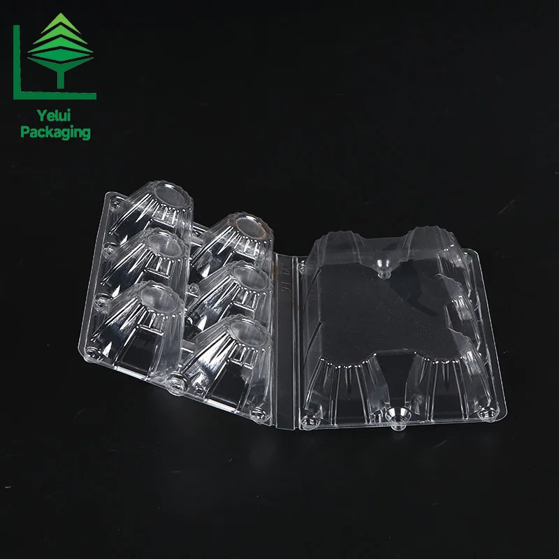 M6 6 Eggs Tray (Large), clear PET egg packaging tray – photo 003