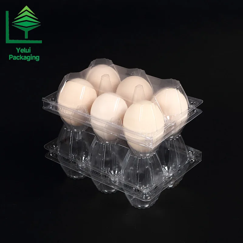 M6 6 Eggs Tray (Large), clear PET egg packaging tray – photo 005
