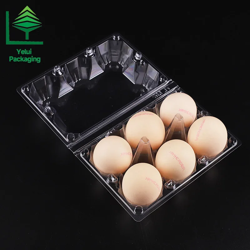 M6 6 Eggs Tray (Large), clear PET egg packaging tray – photo 006