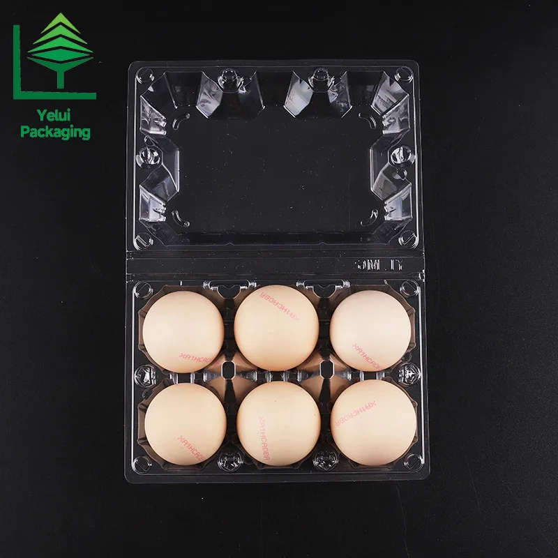 M8 8 Eggs Tray (Large), clear PET egg packaging tray – photo 007