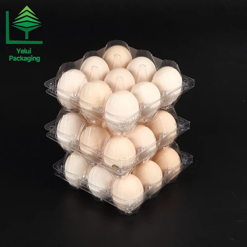 M9 9 Eggs Tray (Large), clear PET egg packaging tray – photo 004
