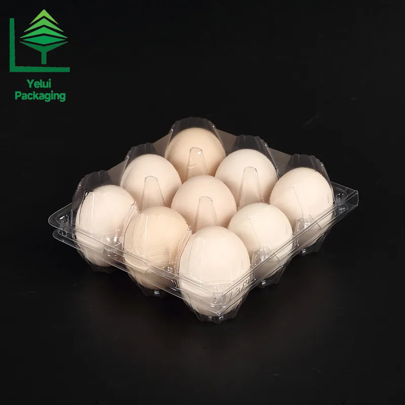 M9 9 Eggs Tray (Large), clear PET egg packaging tray – photo 005